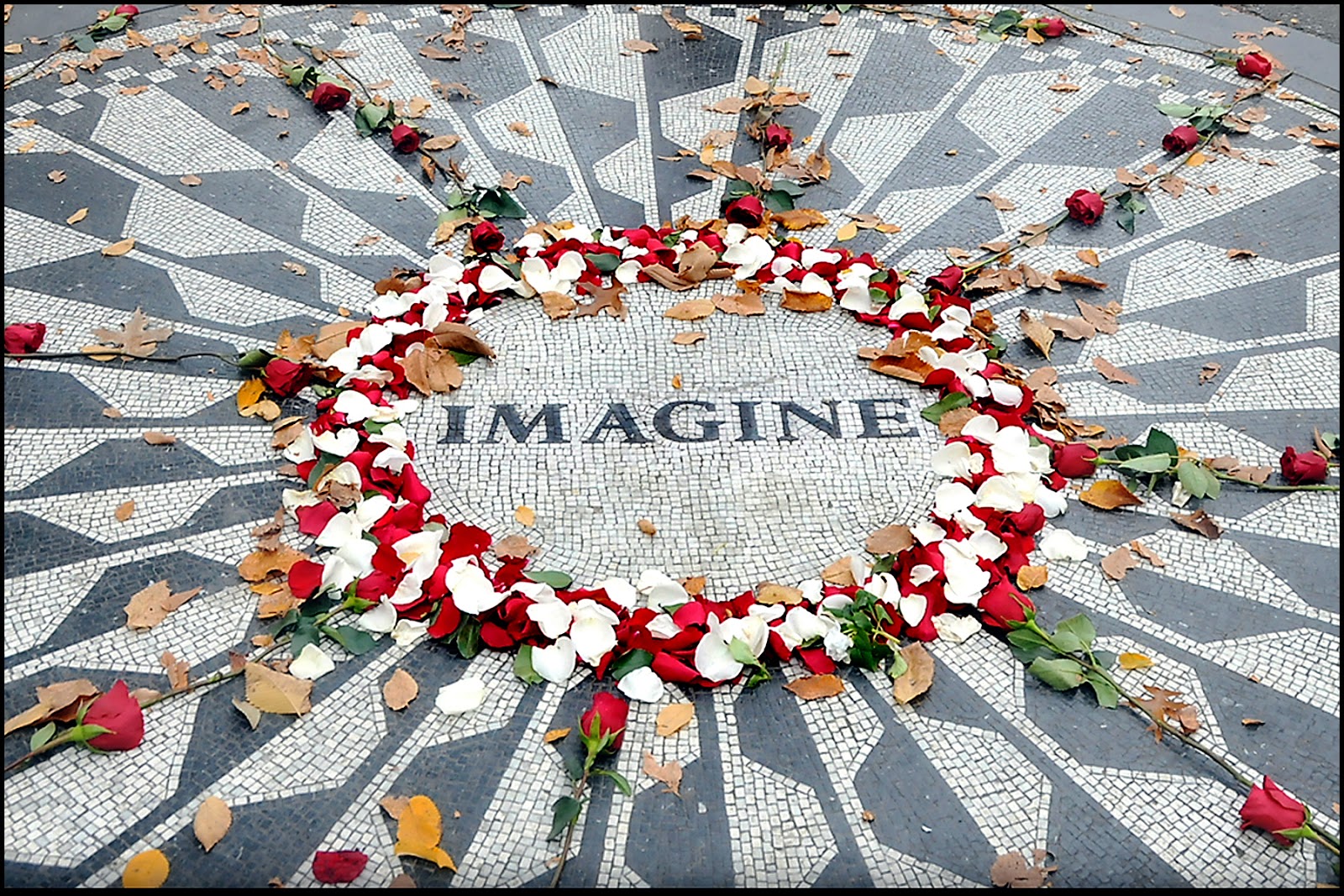 Lightworkers become Workers of Light