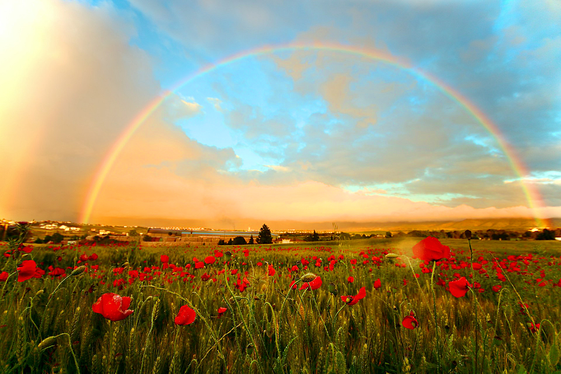 Rainbow-light-and-color